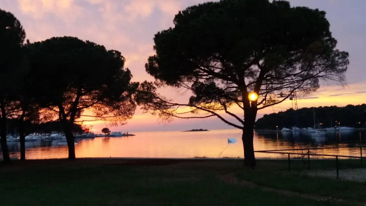 Apartment Loredana Poreč 0*,