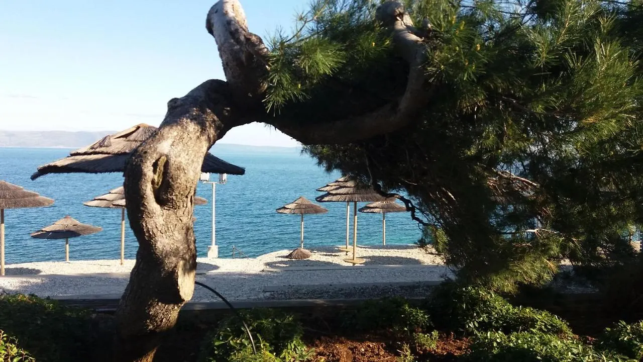 Apartment Loredana Porec