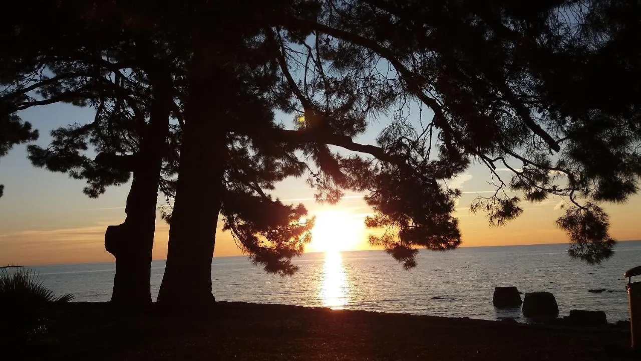 Apartment Loredana Poreč